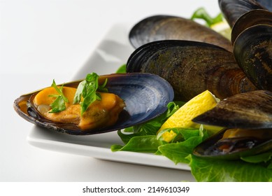 Mussels In Sauce. Shellfish Dish. Seafood Dishes. Fresh Mussels.