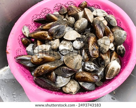 Mussels are a type of shellfish known for their rich flavor and nutritional benefits.