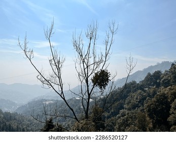 Mussoorie is a picturesque hill station located in the northern Indian state of Uttarakhand. It is known for its stunning natural beauty, including the snow-capped Himalayan peaks, lush green valleys, - Powered by Shutterstock