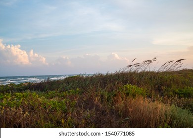 Mustang Island On The Texas Coast