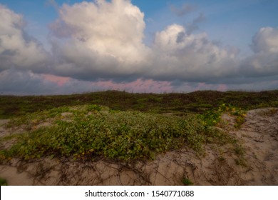 Mustang Island On The Texas Coast