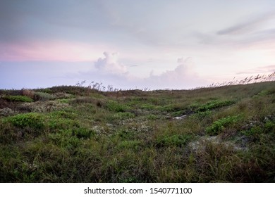 Mustang Island On The Texas Coast