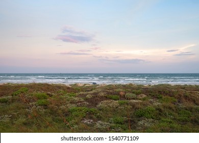 Mustang Island On The Texas Coast