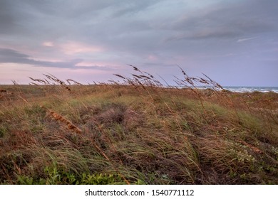 Mustang Island On The Texas Coast