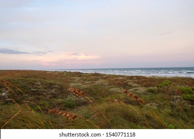 Mustang Island On The Texas Coast