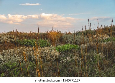 Mustang Island On The Texas Coast