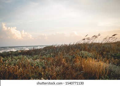 Mustang Island On The Texas Coast