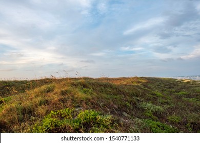 Mustang Island On The Texas Coast