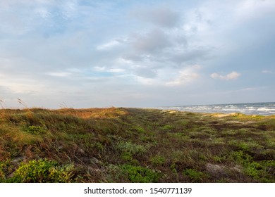 Mustang Island On The Texas Coast