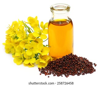Mustard Flowers Oil Over White Background Stock Photo (Edit Now) 258726458