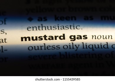 Mustard Gas Word In A Dictionary. Mustard Gas Concept.