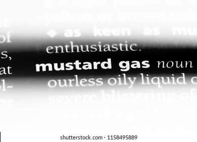 Mustard Gas Word In A Dictionary. Mustard Gas Concept.