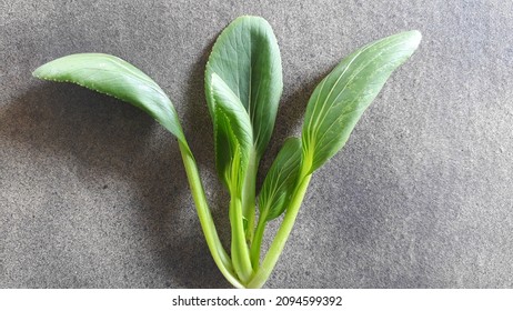 Mustard Greens Isolated Black Dotted Board