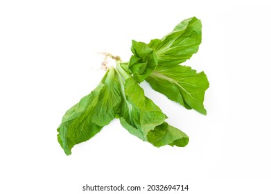 Mustard Greens Isolated On White Background.Brassica Juncea