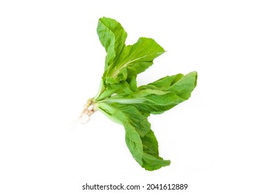 Mustard Greens Isolated On White Background.Brassica Juncea