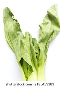 Mustard Greens Or Pakcoy Leaves Look Wilted Because They Are Cold And Moist Ready To Be Cooked, On A White Background