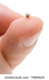 Mustard Seed On Fingertip - Symbol Of Faith