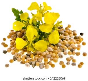 Mustard Seeds Heap And Mustard Flower Isolated On White Background