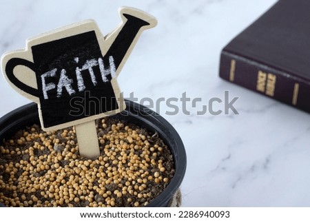Mustard seeds in a pot with soil and handwritten word 