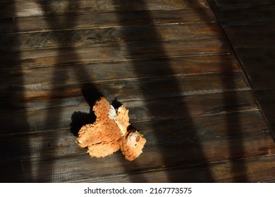 Mutilated childhood. Abandoned children's toy, war, death. Conceptual picture of a children's toy teddy bear lost on brown wooden floor with cross window shadow. Horizontal