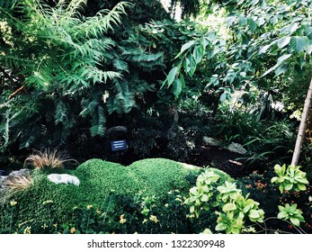 Muttart Conservatory, Edmonton Alberta.