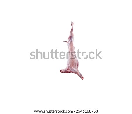 Mutton Carcass isolated with white background and mutton meat 