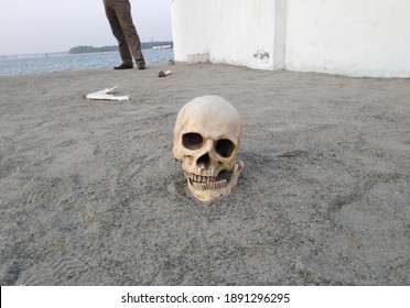 Muziris Biennale Kochi Human Skull On Ground