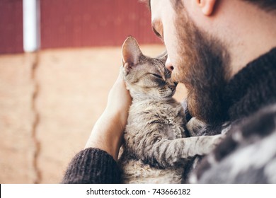 Muzzle Of A Cat And A Man's Face. Close-up Of Handsome Young Man And Tabby Cat - Two Profiles. The Devon Rex Cat With The Owner. Cat Gently Pressed. Love Cats And Humans. Relationship Weasel.