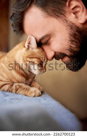 Muzzle of a red cat and a man's face. Close-up of handsome young beard man and tabby cat - two profiles. Pets and humans friendship, love and trust concept