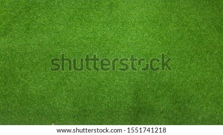 My artificial grass, green color. 