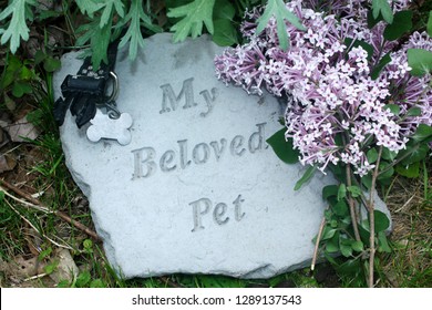 My Beloved Pet Memorial With Lilacs