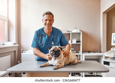 My Best Patient. Cheerful Middle Aged Male Vet In Work Uniform Holding A Pug And Smiling While Standing At Veterinary Clinic