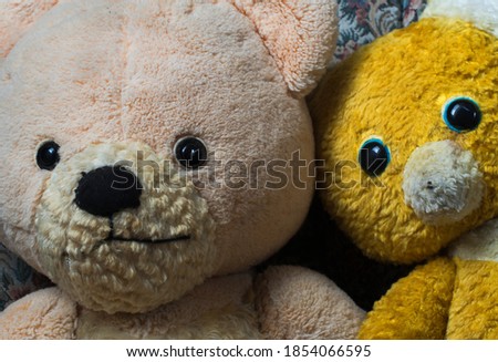 My favorite Teddies Rose and Ronnie. Old worn plush toys from the middle of the 20th century.