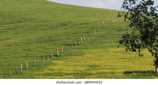 My fenced plot on the mountain and beautiful landscape