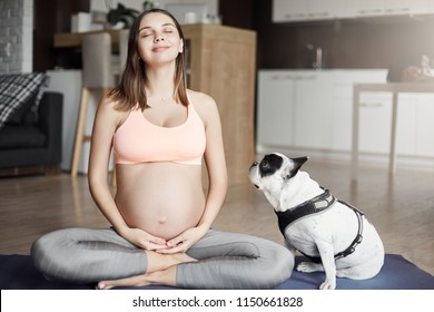 My Four-legged Coach Keep An Eye On Me. Indoor Shot Of Attractive And Relaxed Pregnant European Woman In Stylish Sportswear, Smiling Joyfully While Sitting In Yoga Pose On Roll Pad At Home, Meditating