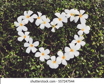 1,287,970 Nature heart Images, Stock Photos & Vectors | Shutterstock