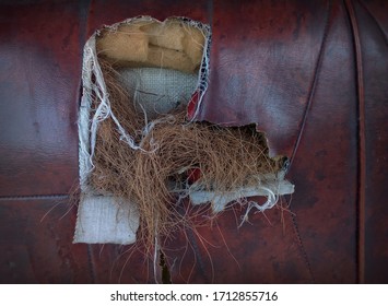 My Old Red Car Seats