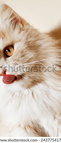 My sweet caty  Persik with tongue 