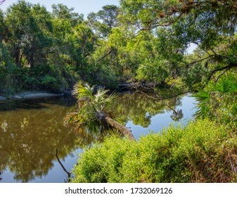 Sleeping Turtles Preserve High Res Stock Images Shutterstock