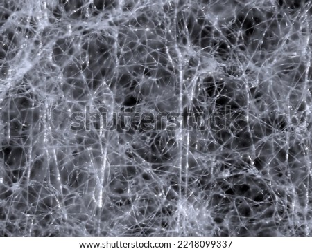 Mycelium fungus, Fusarium euwallaceae. Macro. Background. Texture