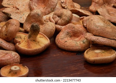 Mycology: Edible Mushrooms Used In Cooking. Group Of Niscalos, Lactarius Deliciosus, On A Wooden Table. Vegan Food.