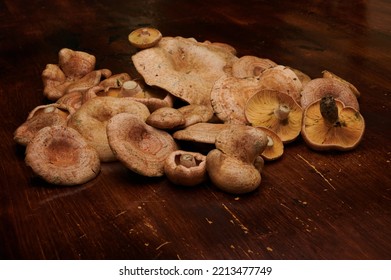 Mycology: Edible Mushrooms Used In Cooking. Group Of Niscalos, Lactarius Deliciosus, On A Wooden Table. Vegan Food.