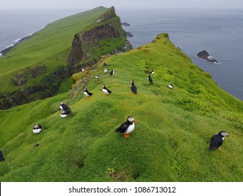 Mykines,  Faroe Islands