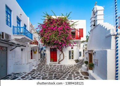 Mykonos, Greece - 7 16 2018:  Square with blooming pink tree