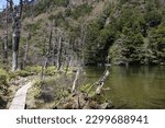 Myojin-ike Pond in Kamikochi, Japan