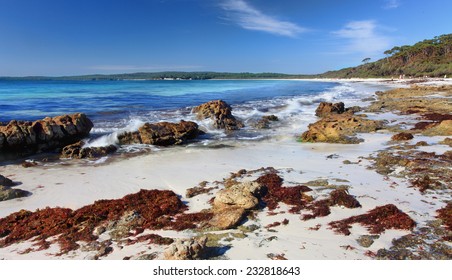 A myriad of colours from the rocky outcrop on the northern end of Hyams Beach, Jervis Bay, Australia