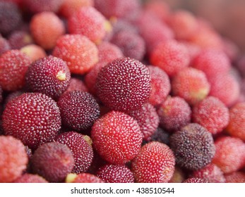 Myrica Rubra Fruits