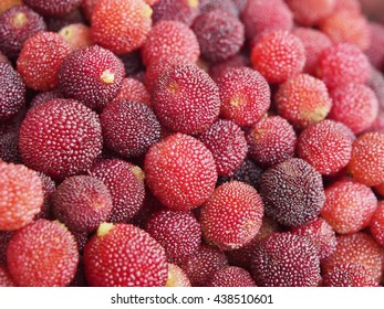 Myrica Rubra Fruits