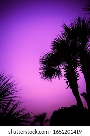 Myrtle Beach Is Palmetto Paradise In South Carolina