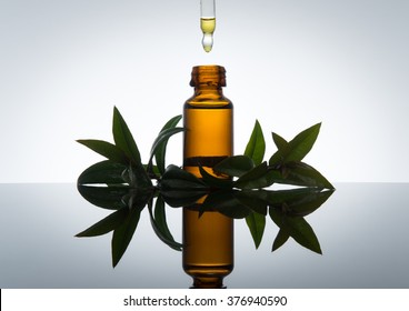 Myrtle essential oil with amber glass bottle 